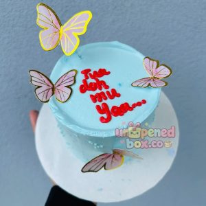 Bento Cake with Butterflies
