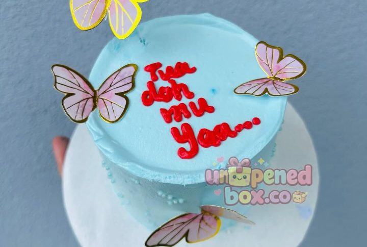 Bento Cake with Butterflies